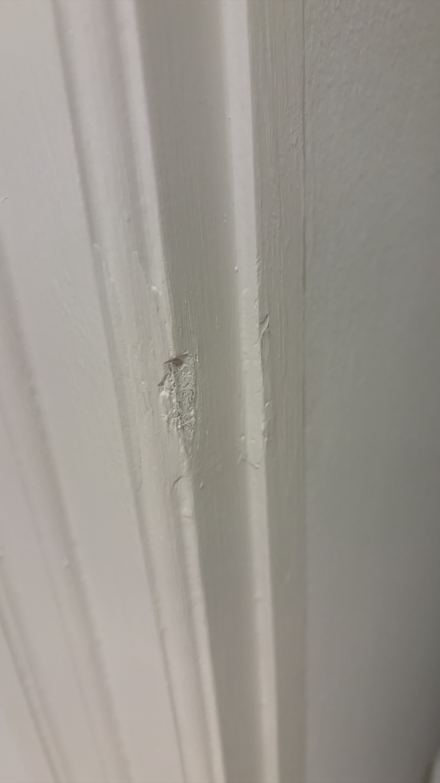 Detail of the magnetic door stop catch